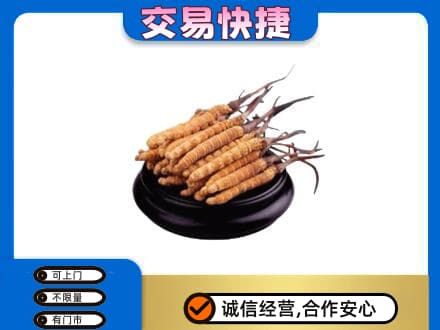 湛江回收冬虫夏草多少钱每克